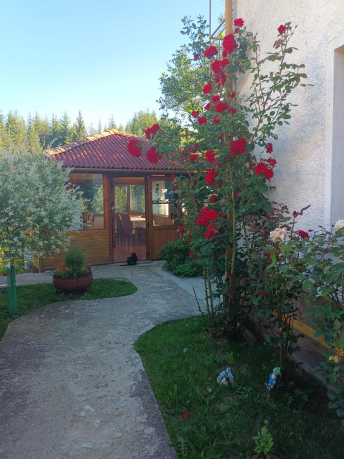 Guest House Stoletnika Yagodina Ngoại thất bức ảnh